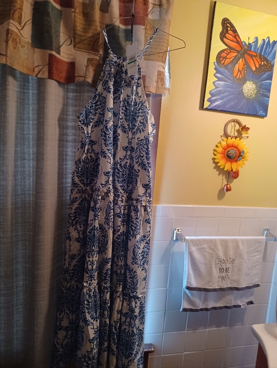Dresses & Skirts - Beautiful Blue and White Maxi Dress